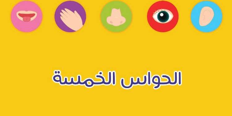 التأمل والتفكر في نعمة الحواس