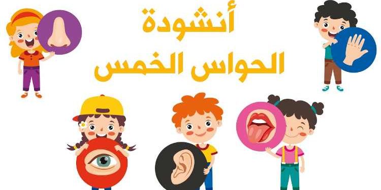 التأمل والتفكر في نعمة الحواس| أهمية التأمل والتفكّر