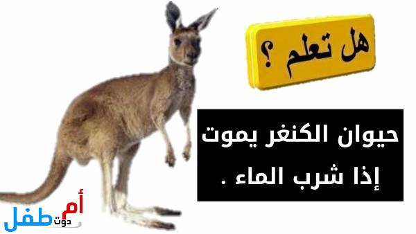  هل تعلم للأطفال قصيرة وسهلة