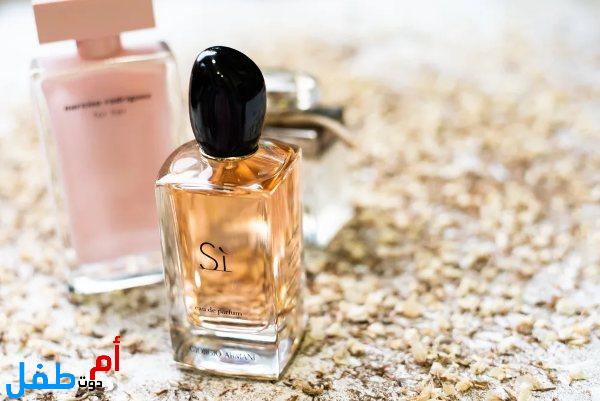 عطور نسائية مثيرة حديثة 2022