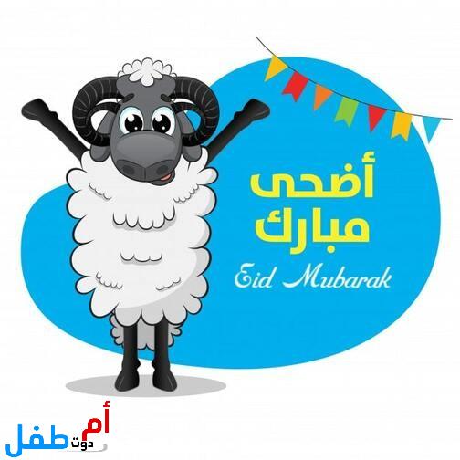 صور خروف العيد