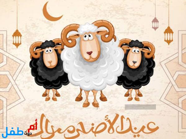 صور مضحكة عن خروف العيد