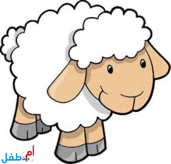 صور مضحكة عن خروف العيد