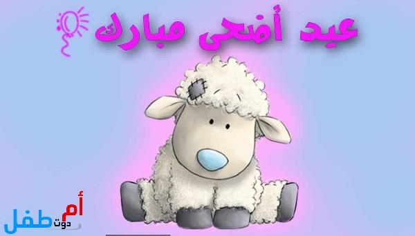 صور مضحكة عن خروف العيد