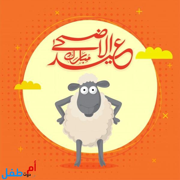 صور خروف العيد 2022 صور كبش العيد الكبير