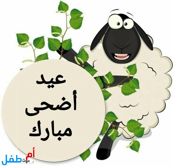 صور عيد الأضحى 2022 خلفيات عيد الأضحى